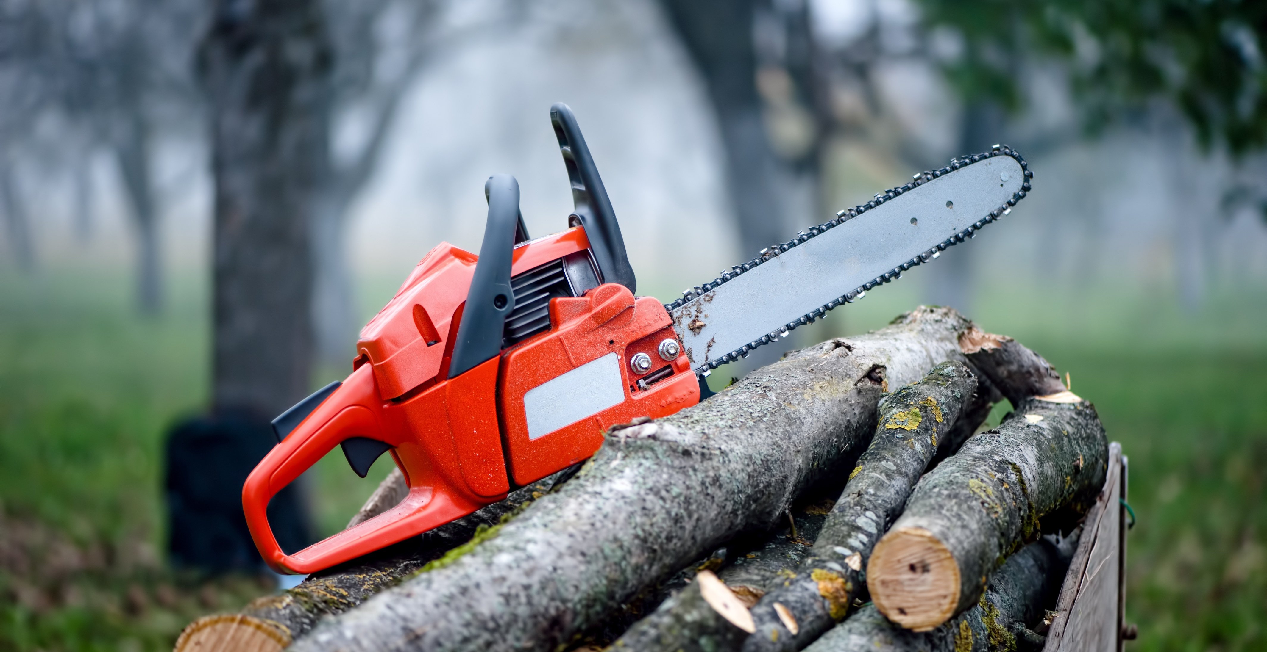 Safety Training 101 Chainsaws