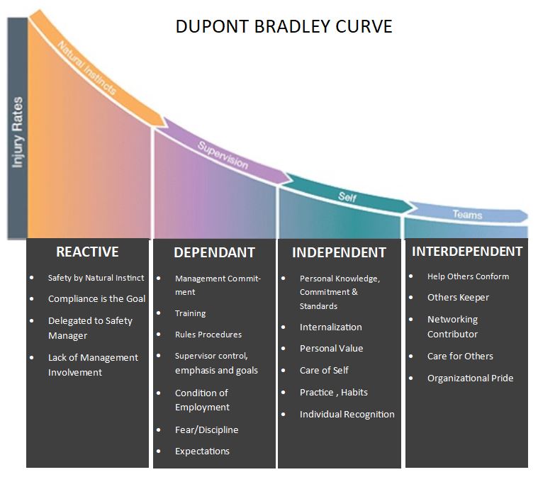 Dupont Bradley Curve Chart