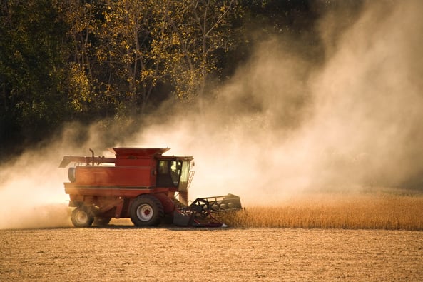 Grain Dust Exposure: Act Now