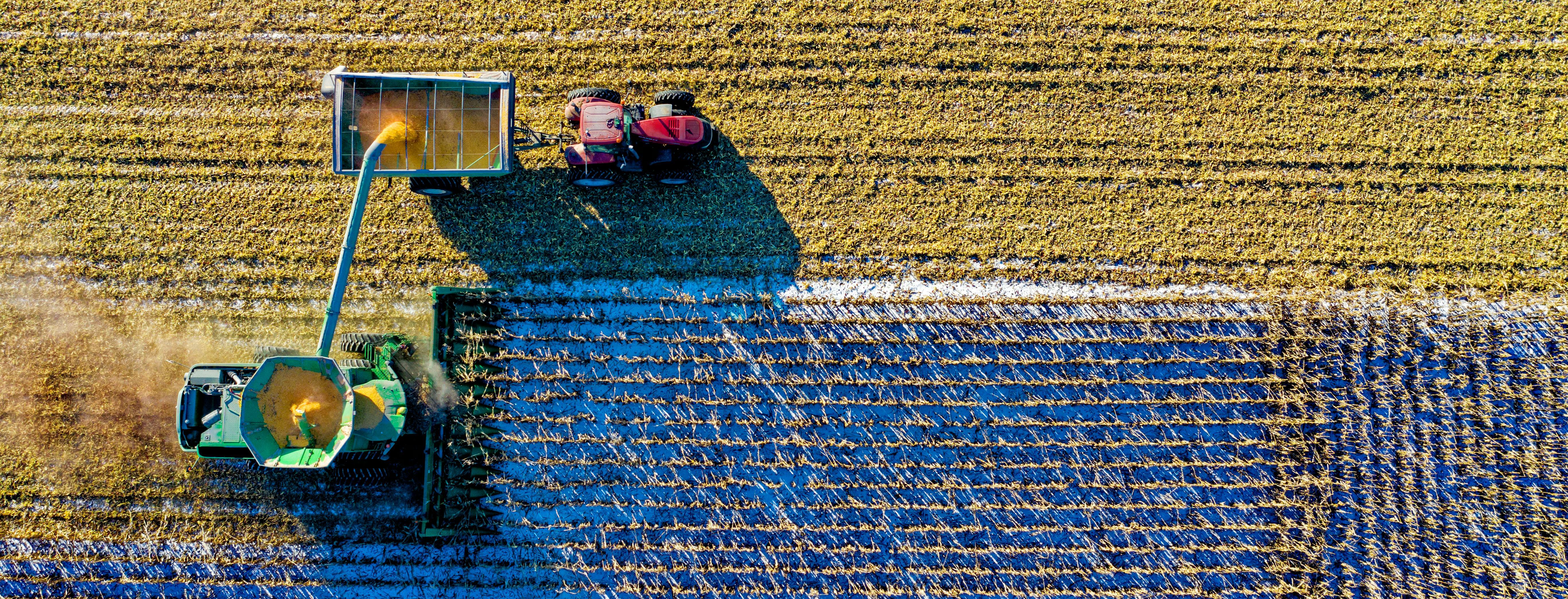 tractor field